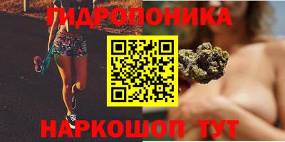 амф Краснодар