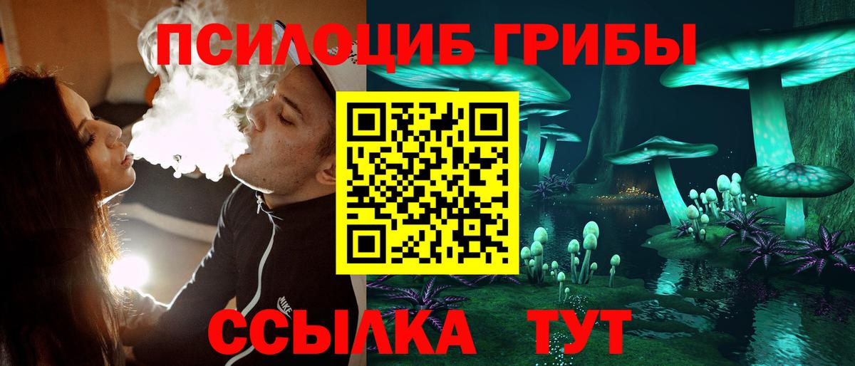 Псилоцибиновые грибы Cubensis Кирово-Чепецк