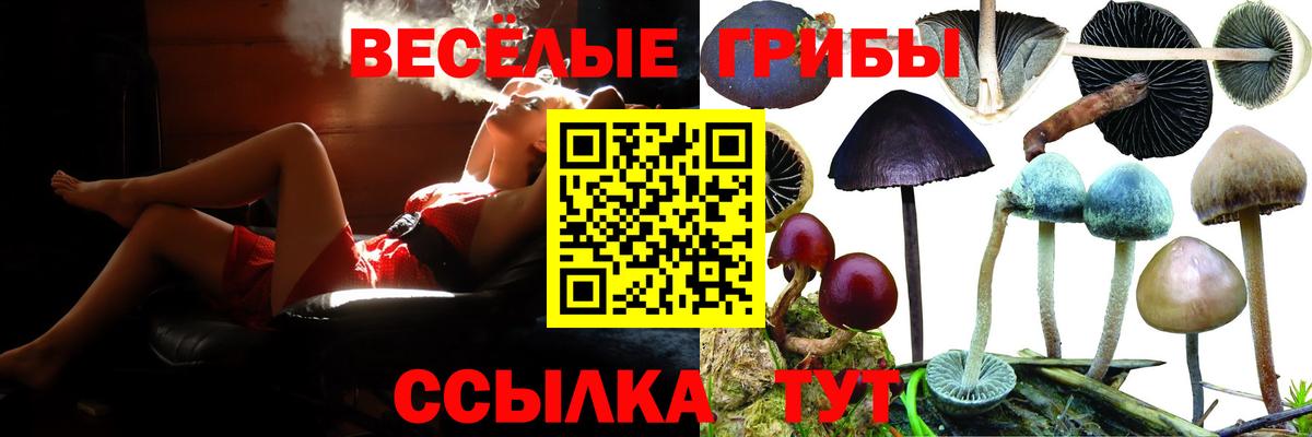 Псилоцибиновые грибы мицелий  Галлюциногенные грибы прущие грибы  цена наркотик  Кирово-Чепецк  Вход с VPN 